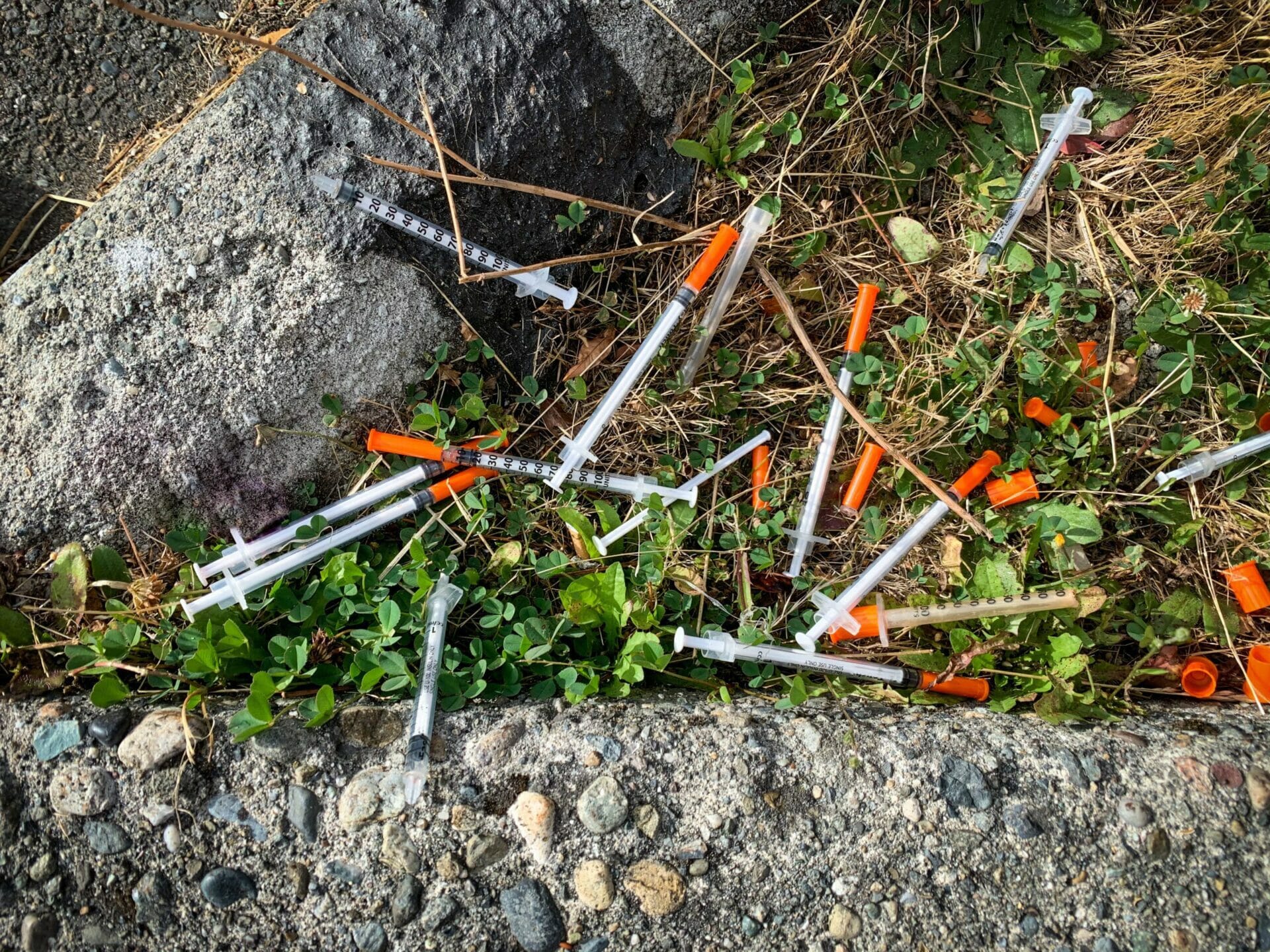 needles at homeless encampment cleanup