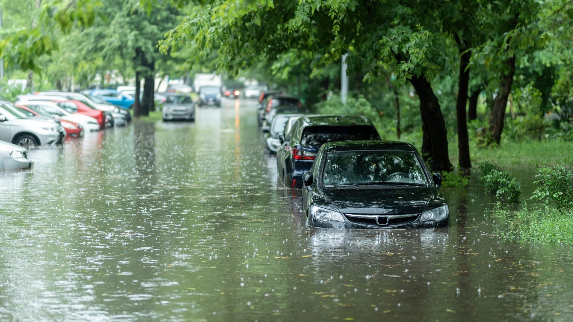 Flood damage remediation