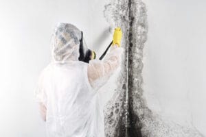 Best mold remediation and cleanup company