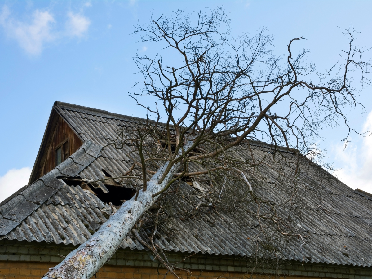 Storm roof damage repair company