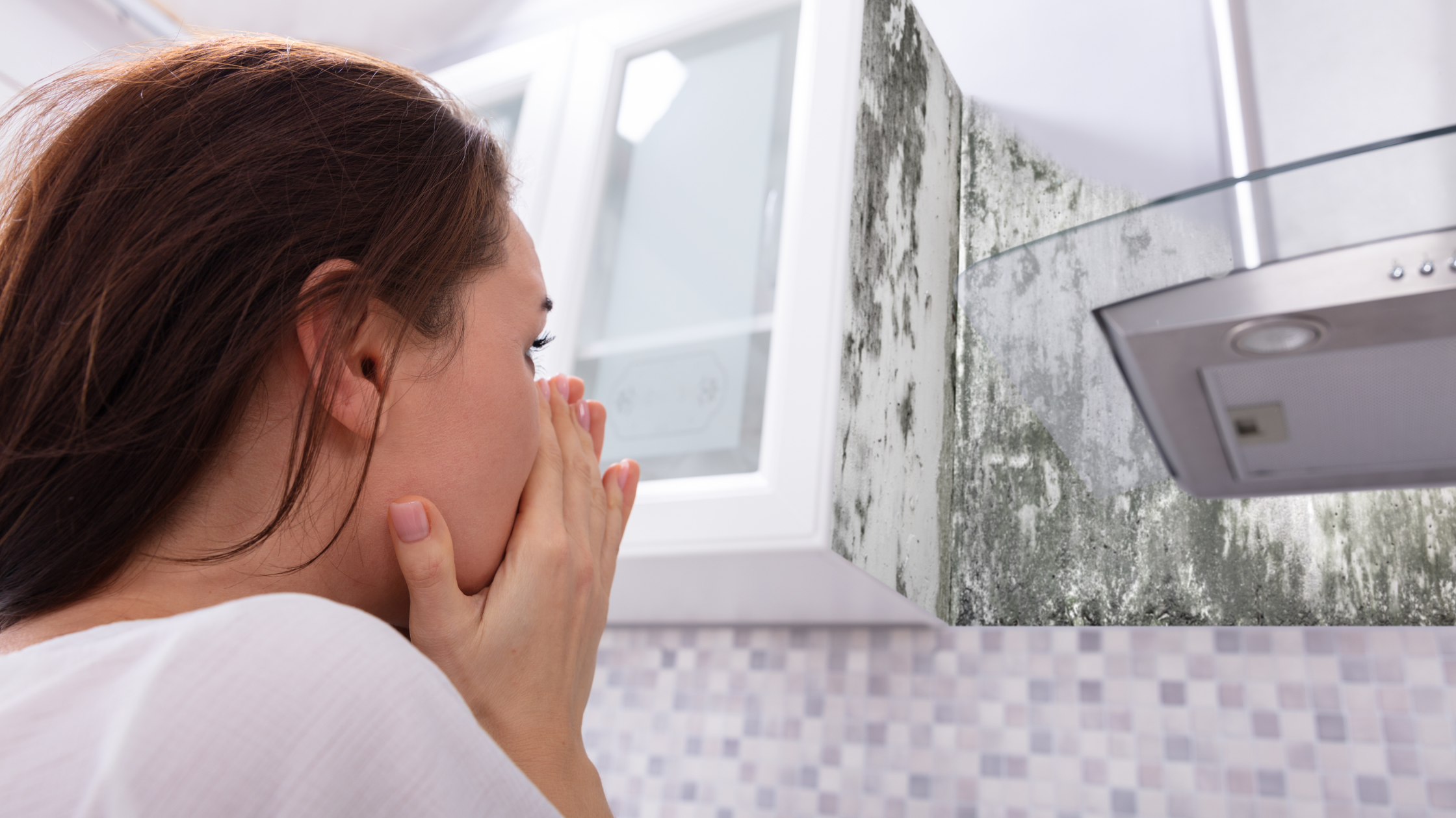 Mold removal mistakes to avoid