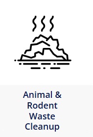 Animal and Rodent Waste Cleanup