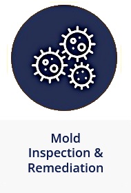 Mold Inspection and Remediation