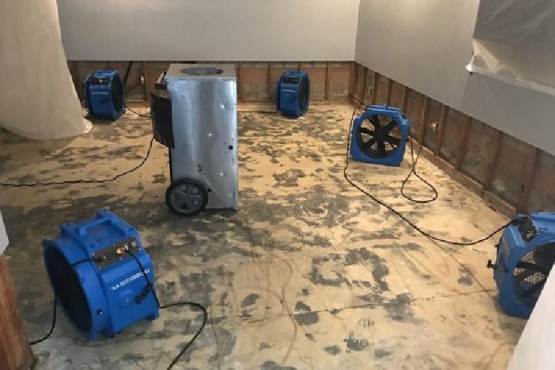 Renew Cleaning and Restoration -Water Damage Restoration Cleanup Services