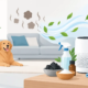 Best Odor Removal Methods for Lasting Results