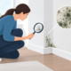 How to Identify Hidden Mold Before It Spreads Further