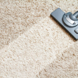 include the long beige carpet cleaning with a vacuum cleaner